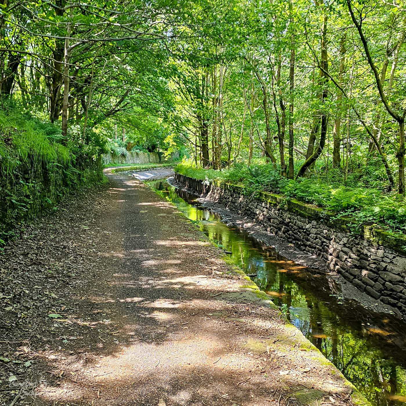 A narrow, shallow stretch of canal winding through dense woodland beside a shaded towpath. Low stone retaining walls edge the water, which reflects the bright green leaves overhead, while sunlight filters through the trees and creates patches of light across the path.