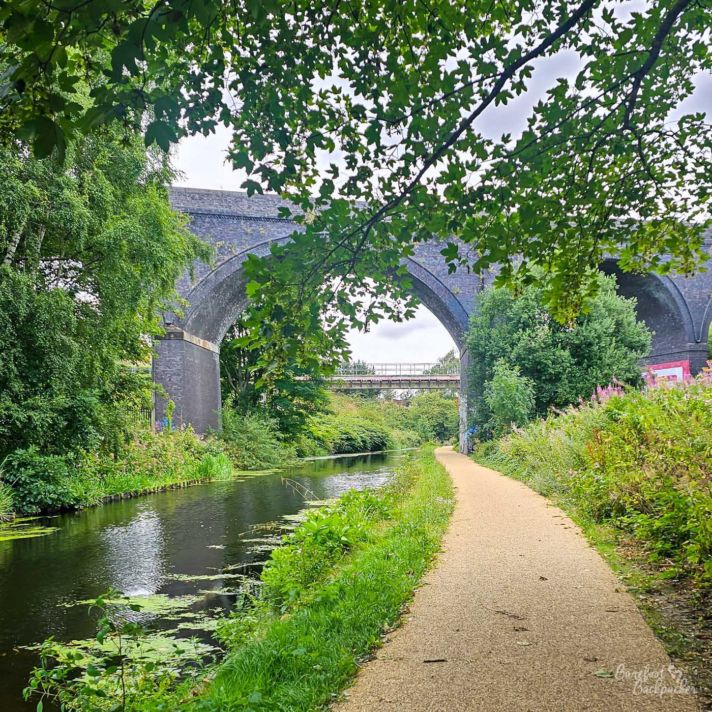 A narrow canal and towpath passing beneath the huge stone arch of a railway viaduct. Overhanging branches frame the view from above, while thick green vegetation and wildflowers grow along both banks. Another, smaller bridge can be seen through the main viaduct arch in the distance.