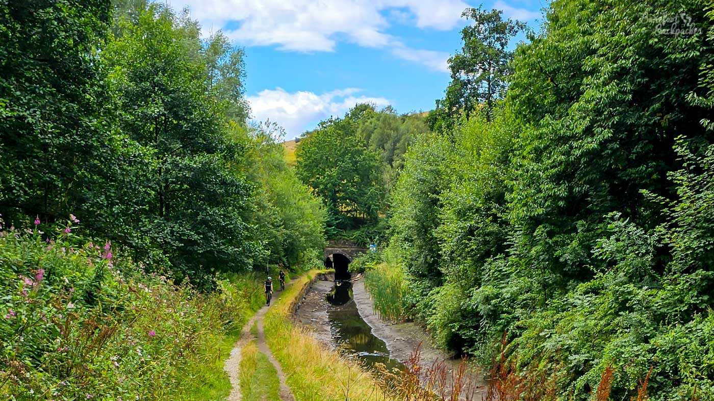 A largely drained section of canal running through a steep, densely wooded cutting towards a dark tunnel entrance in the distance. Only a narrow ribbon of water remains along the centre of the exposed canal bed, with tall reeds growing on one side. Two cyclists travel along the rough towpath beside wildflowers and thick summer vegetation.