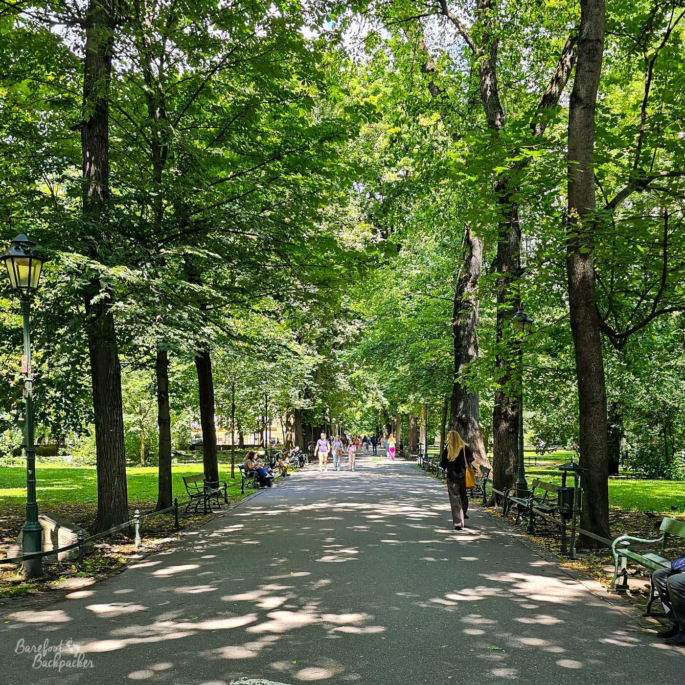 A long, shady avenue through Planty Park in central Kraków, surrounded by dense green summer foliage. Tall mature trees arch over the broad paved path, casting irregular patches of sunlight and shadow across the ground, while traditional lamps and green benches line both sides. People stroll along the avenue or sit beneath the trees, creating a peaceful green contrast to the historic streets immediately beyond the park.