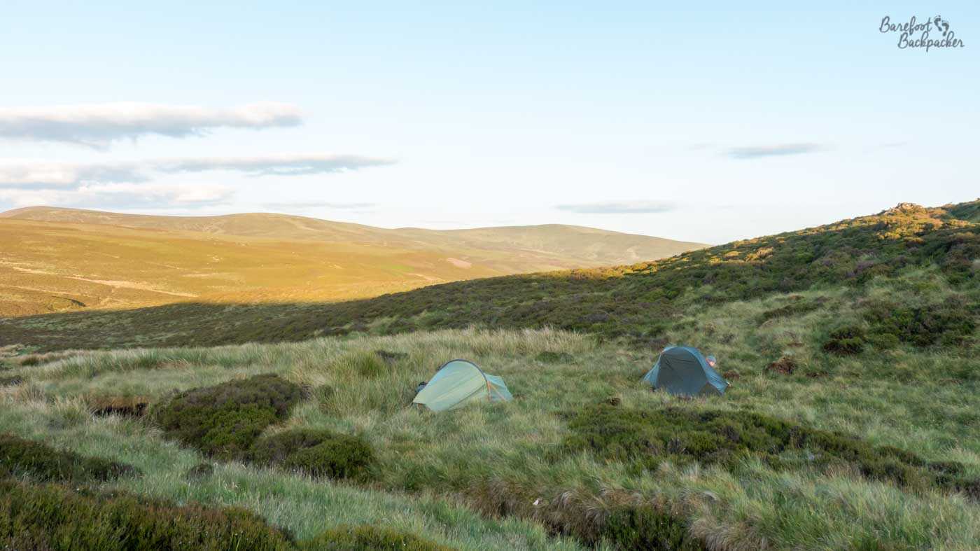 Two small backpacking tents pitched among long grass and heather in a remote, treeless upland landscape. Low rounded hills stretch across the background in warm evening sunlight, with the tents appearing small and isolated amid the open countryside.